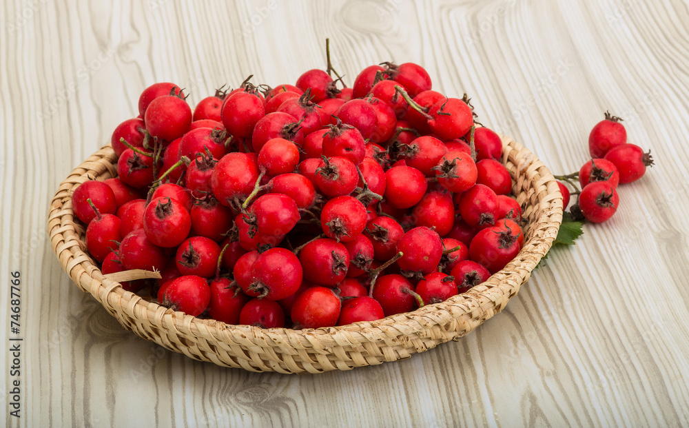Hawthorn Hawthorn
