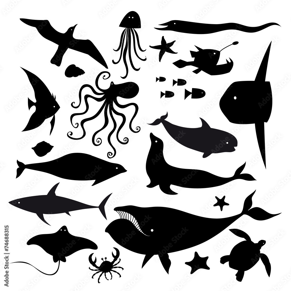 Fototapeta premium Set of marine animals