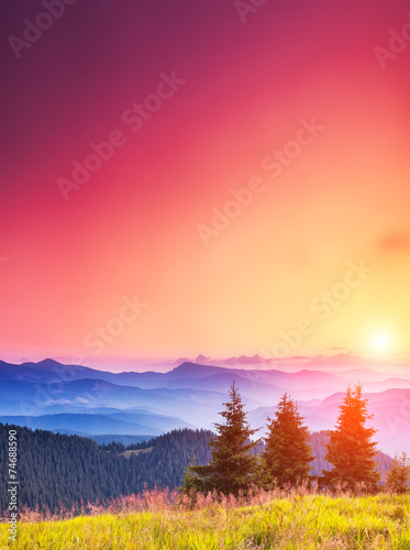Fototapeta Naklejka Na Ścianę i Meble -  morning mountain landscape