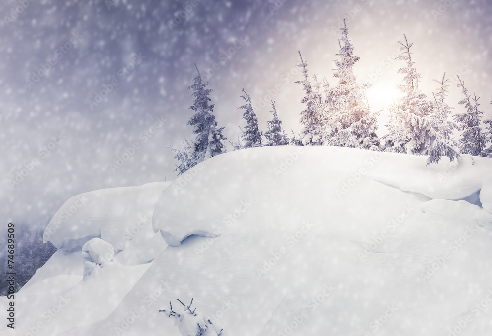 Fototapeta premium Amazing winter landscape
