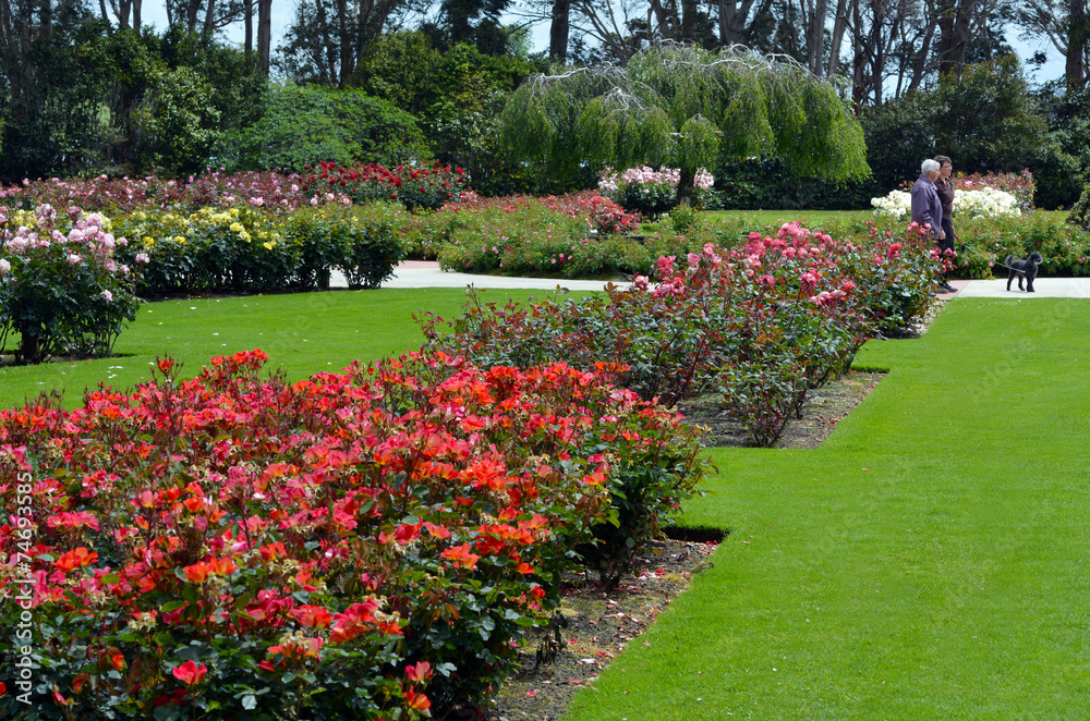 The Rose Garden of Palmerston North NZL