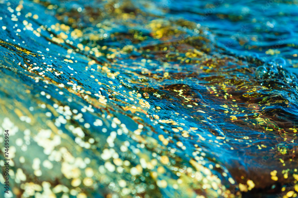 Obraz premium Abstract background. Shells in water