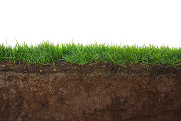Grass and soil