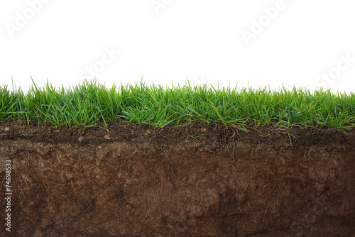 Grass and soil photo