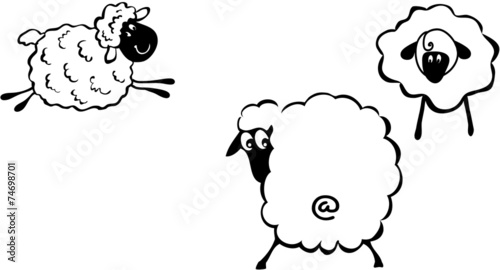 Cartoon Sheep