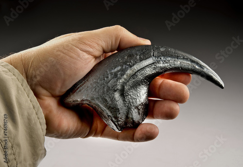 Schilderij op canvas Velociraptor Claw.