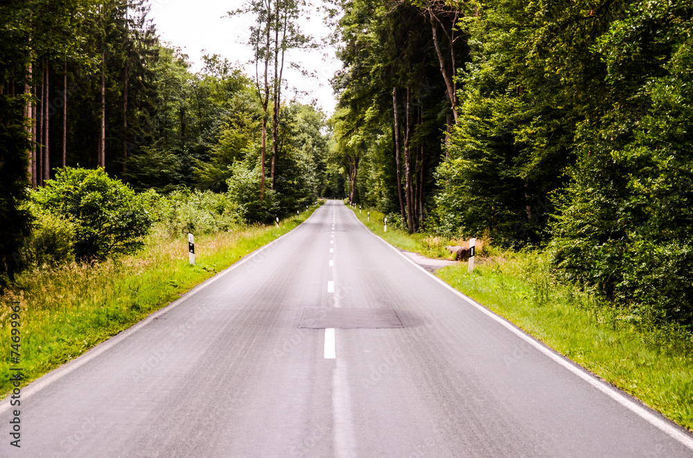 Fototapeta premium European Asphalt Forest Road