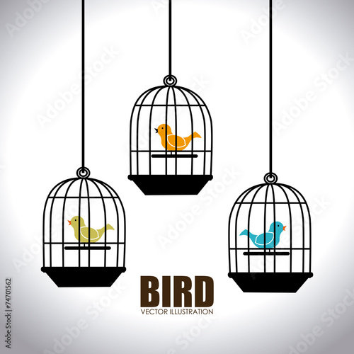 Pets design,vector illustration.
