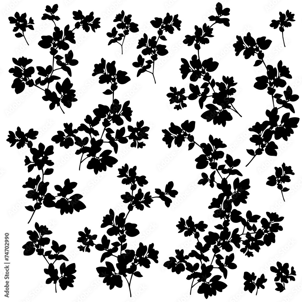 植物のイラスト 植物のイラスト