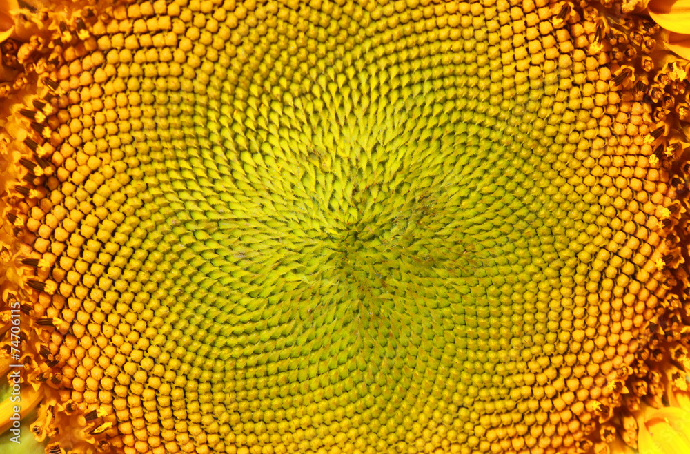 141215-1 141215-1