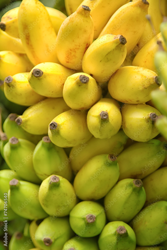 Bunch of bananas,background