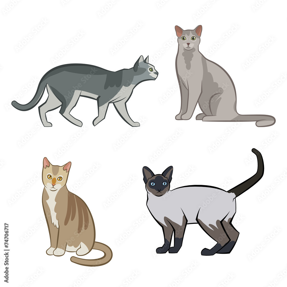 Set of cute cartoon kitties or cats Set of cute cartoon kitties or cats