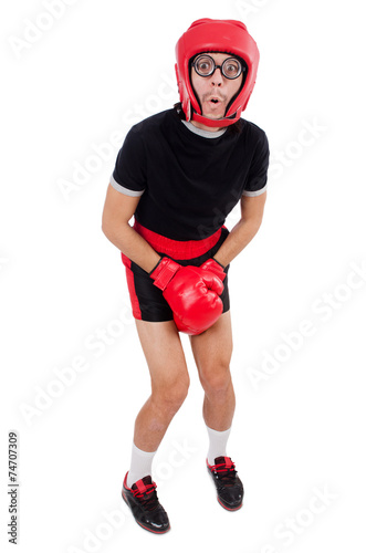 Funny boxer isolated on the white