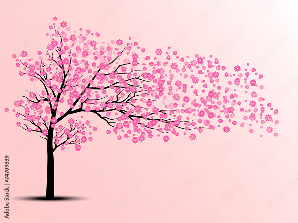 Fotografie, Obraz the silhouette of cherry trees