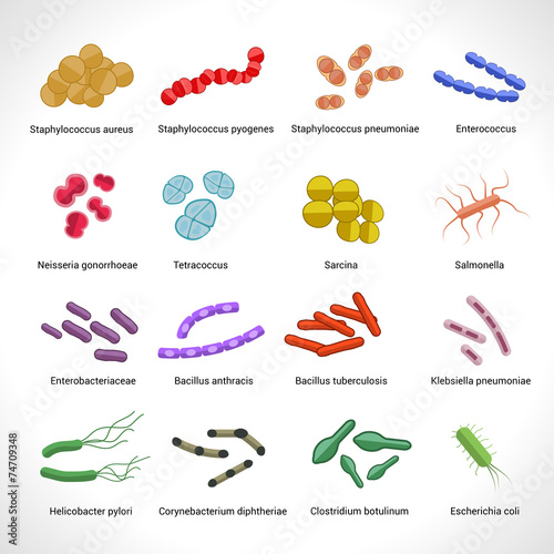 Bacteria icons set photo