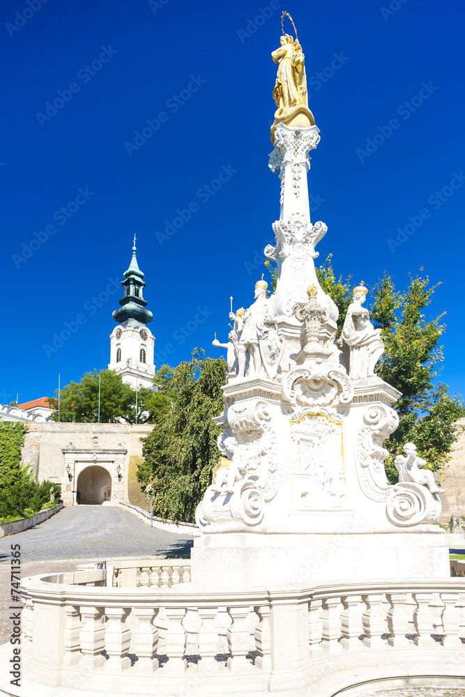 Fototapeta premium the plague column and castle in Nitra, Slovakia