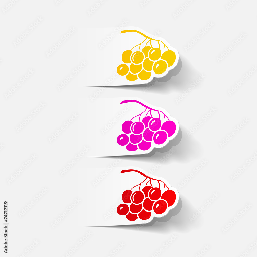 realistic design element: berries