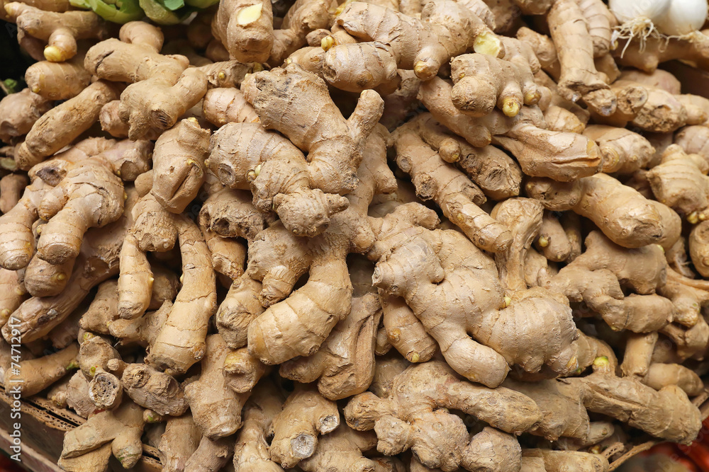 Ginger Ginger