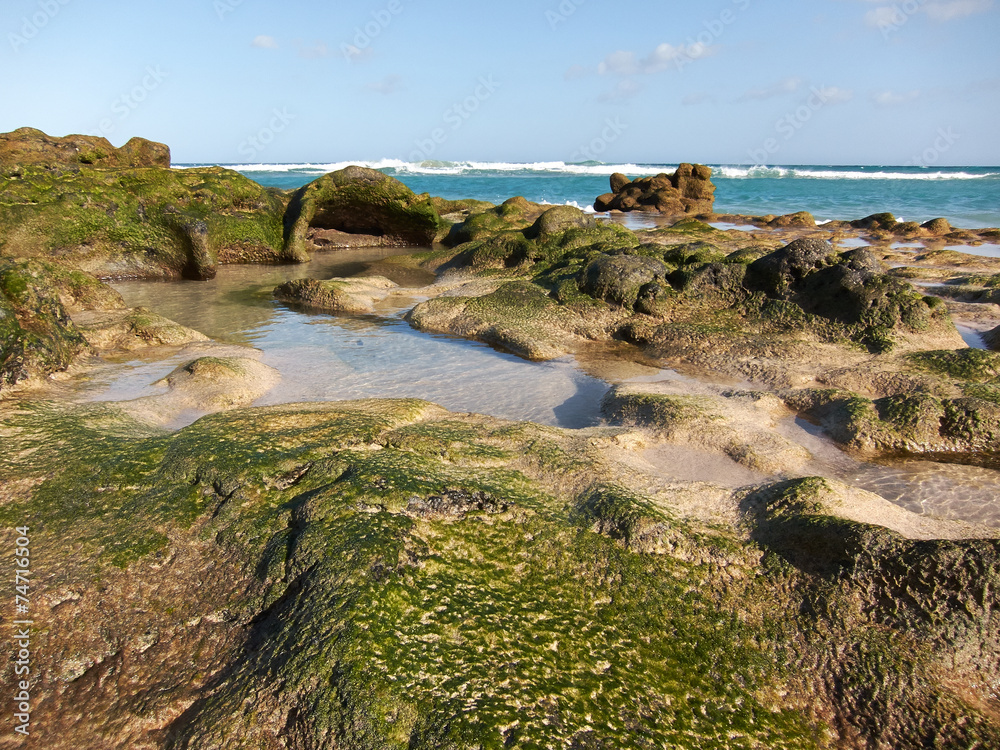 Fuerteventura_6 Fuerteventura_6