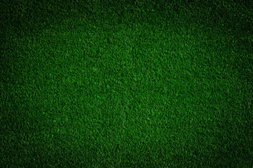 Green grass field background, texture, pattern