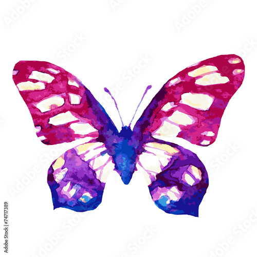 butterflies design