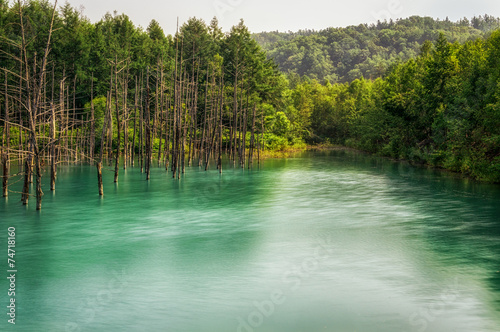 Blue Pond in national park taken during summer.