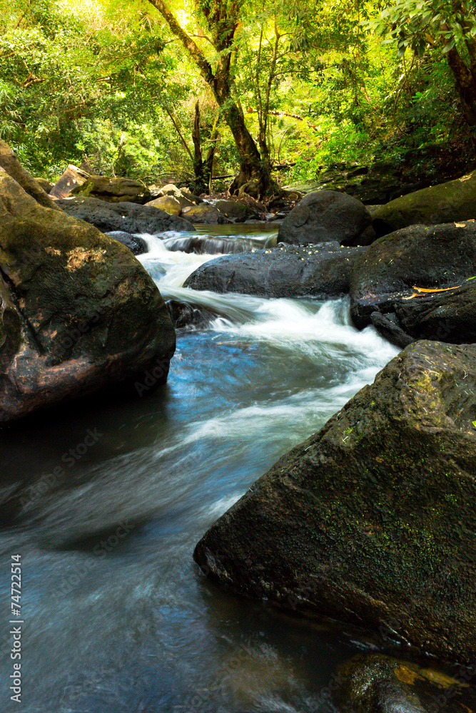Waterfall with deep green forest background. Waterfall with deep green forest background.