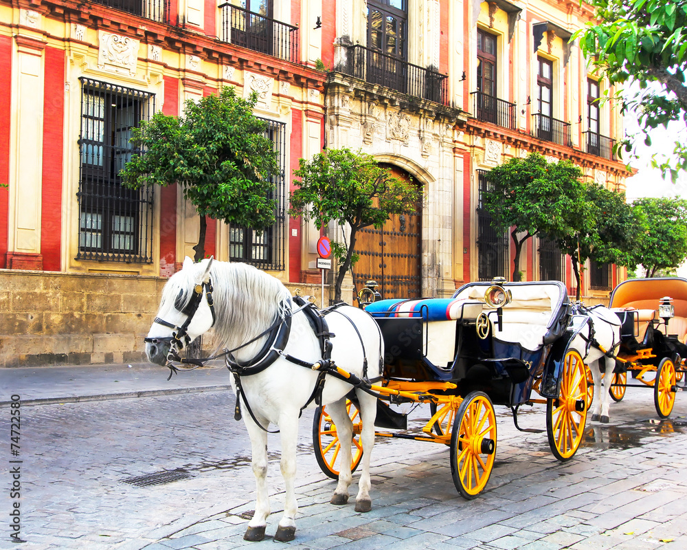 Old horse drawn carriage at Seville street Old horse drawn carriage at Seville street