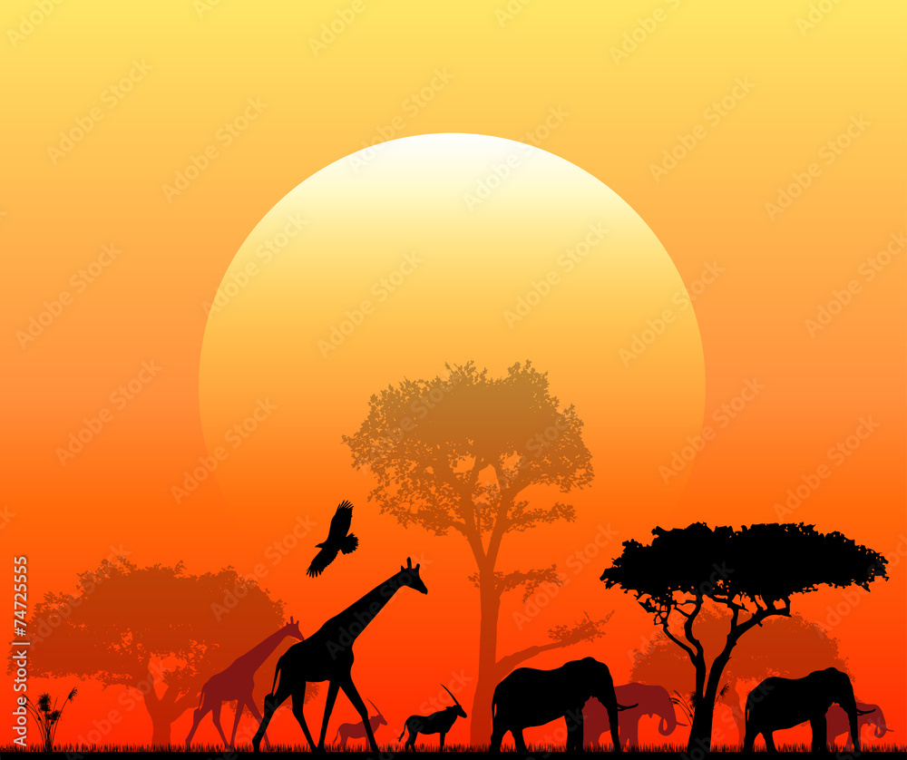 sole, savana, animali, elefanti, giraffe, skyline, penombra