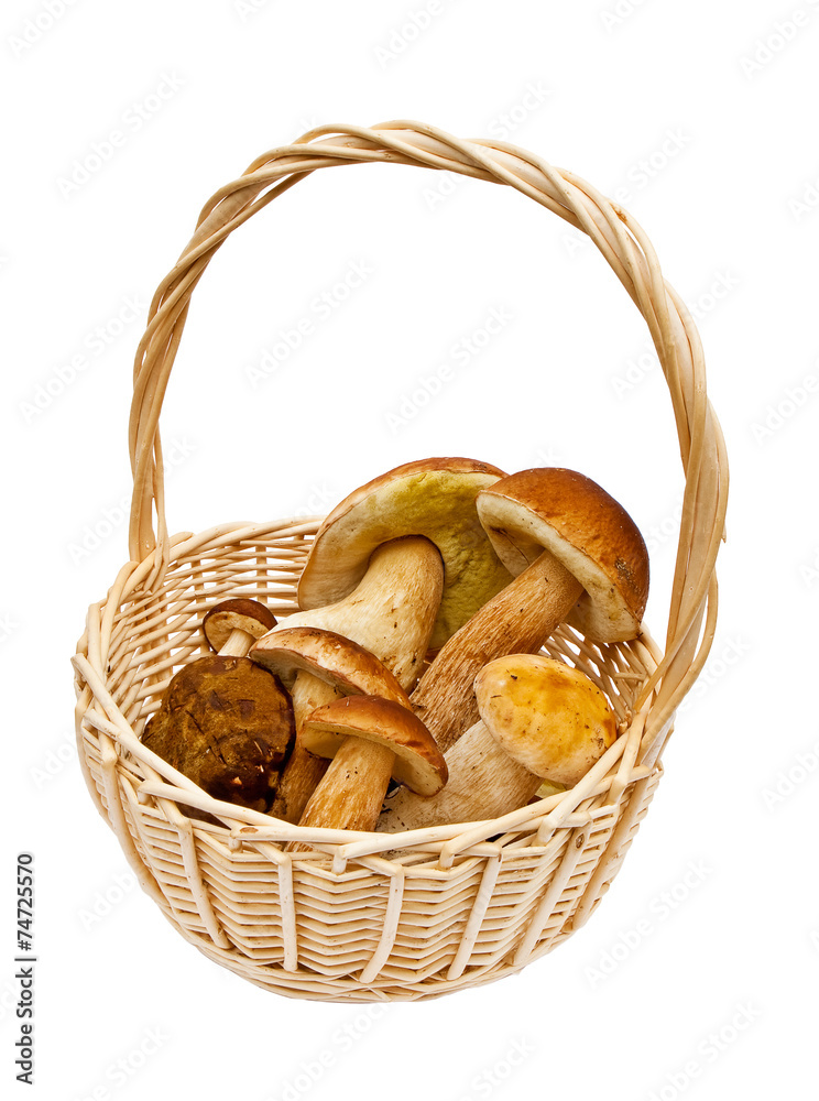 Small basket with mushrooms