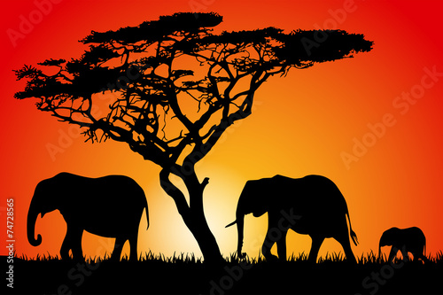 Sunset Elephant Silhouettes