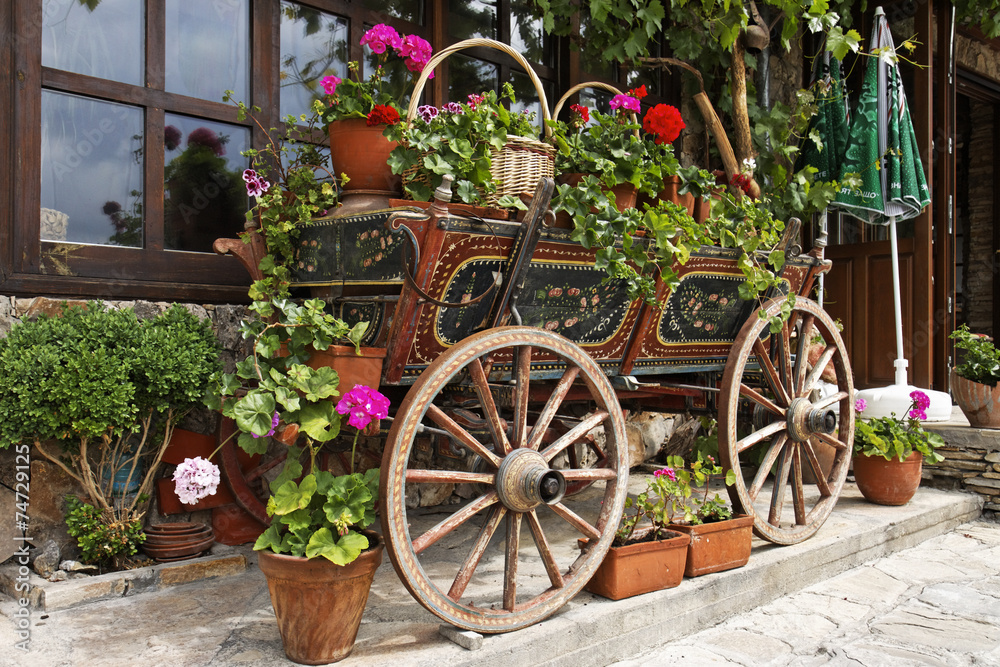 Ox Cart with Flowers in Veliko Tarnovo Bulgaria
