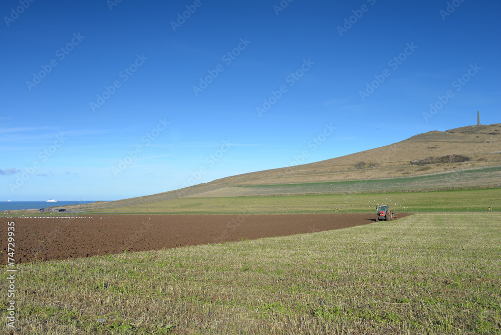 Obraz premium agriculture