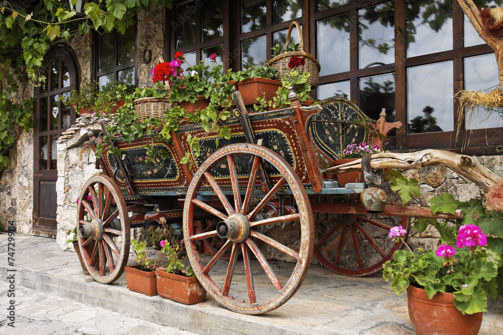 Ox Cart with Flowers in Veliko Tarnovo Bulgaria