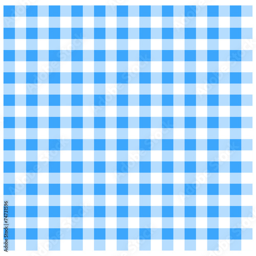 Blue Gingham