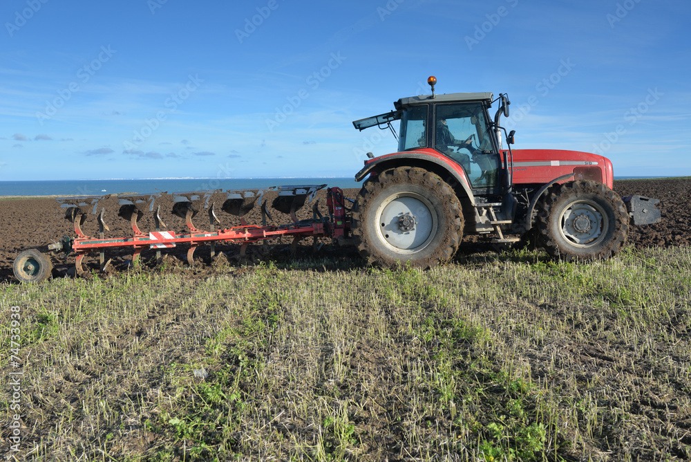 Fototapeta premium agriculture