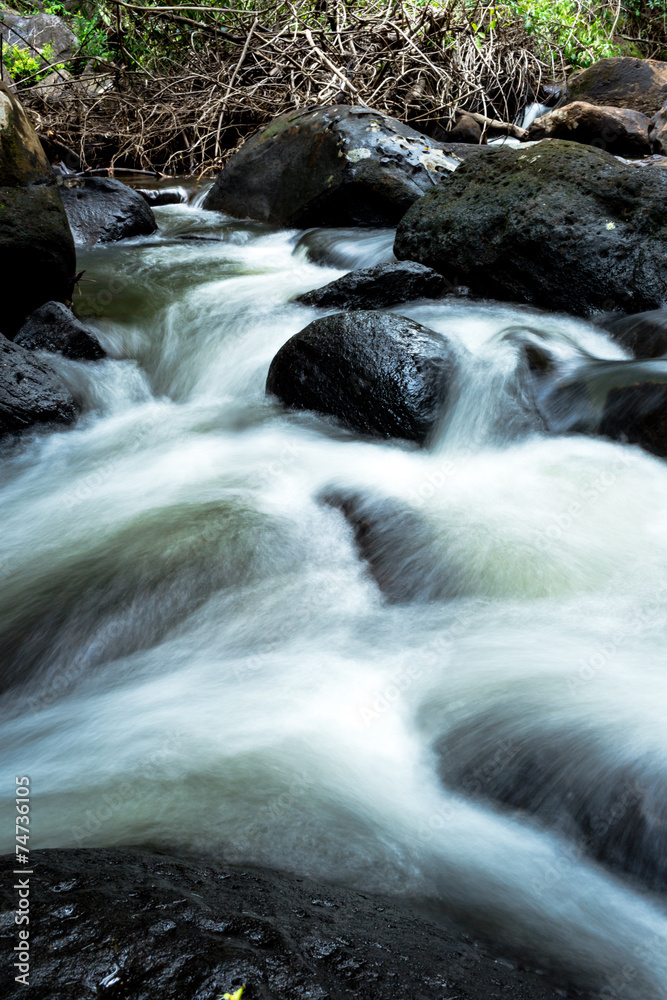 Waterway in deep forest with natural light. Waterway in deep forest with natural light.