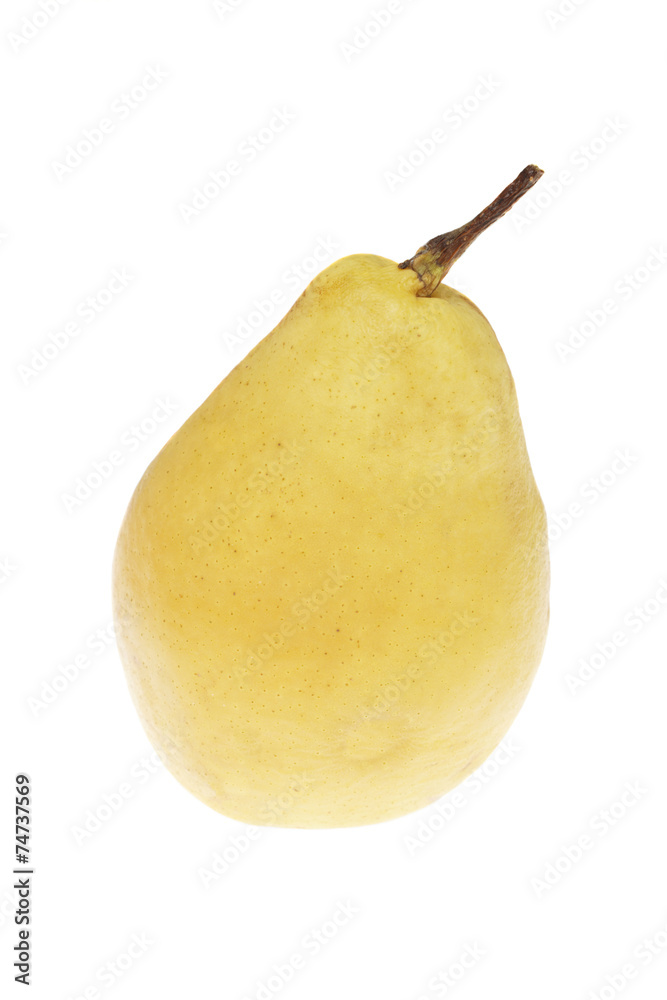 yellow pear closeup isolated on white background yellow pear closeup isolated on white background