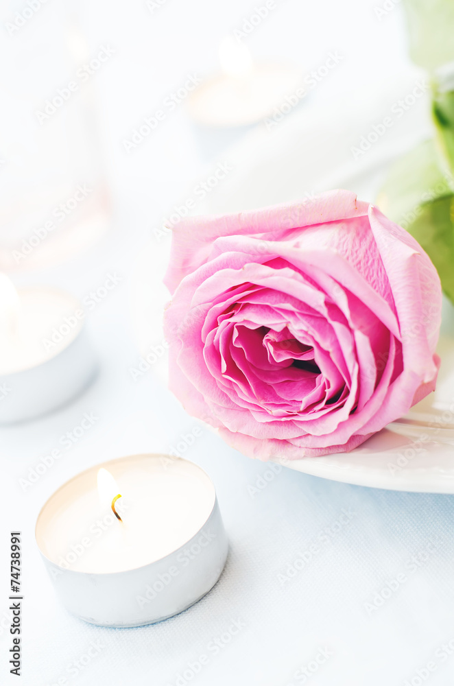 pink rose with candles pink rose with candles