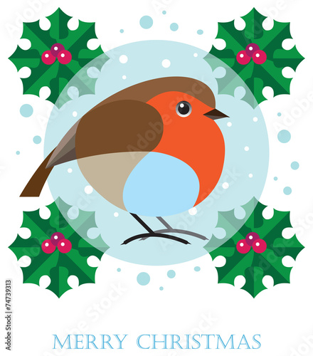 Robin. Merry Christmas