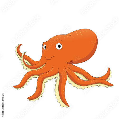 The squid