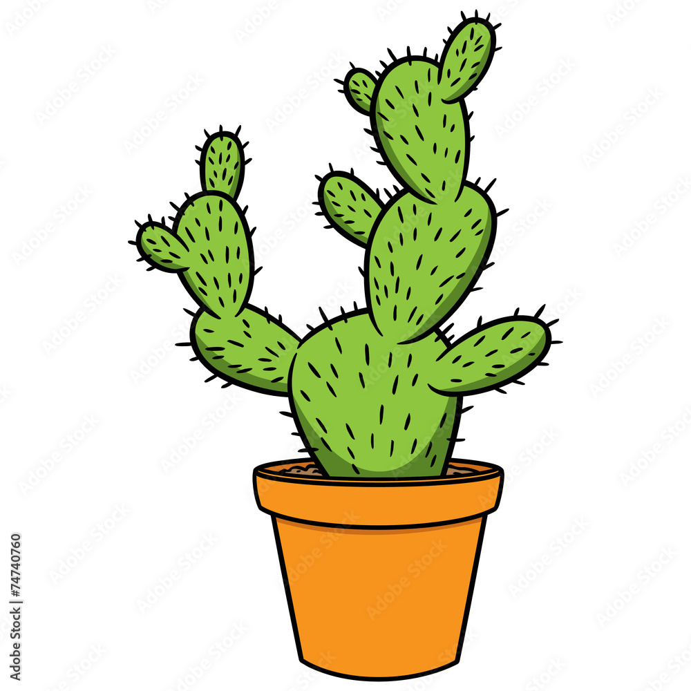 Cactus In Pot Cactus In Pot
