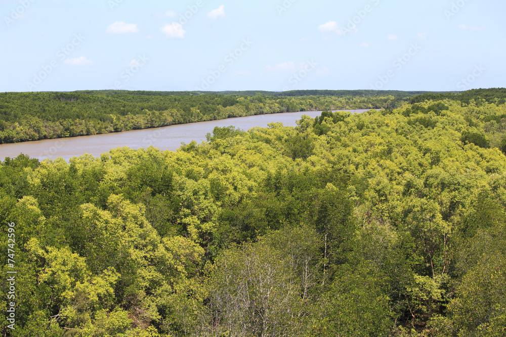 Obraz premium Mekong River