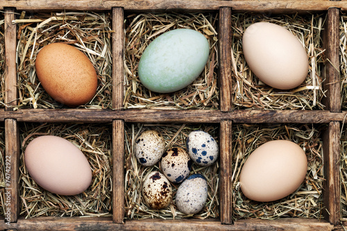 Eggs