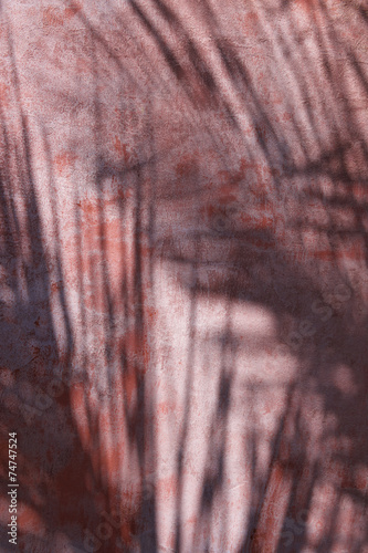 Palm Tree Shadows Background
