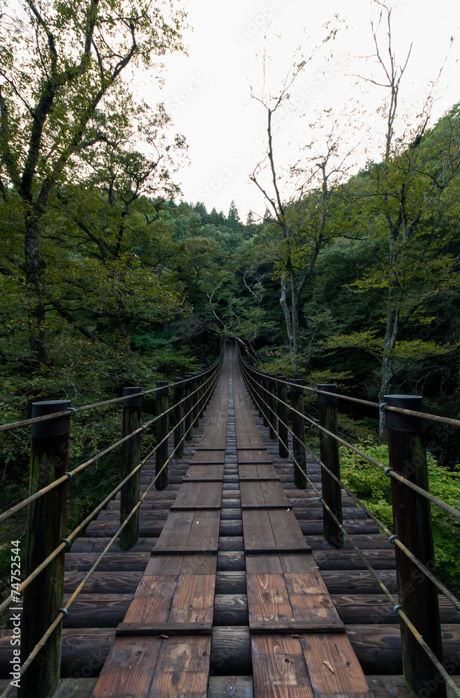Shiomi Falls Suspension Bridge
