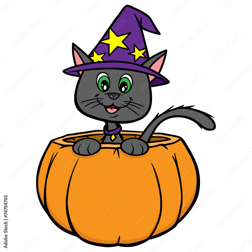 Obraz premium Cat and Pumpkin