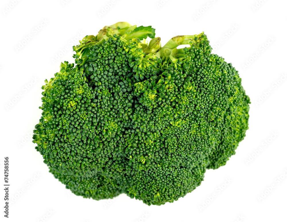 Macro closeup of broccoli floret isolated on white Macro closeup of broccoli floret isolated on white