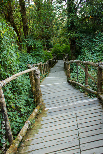 This way into the rainforests and nature