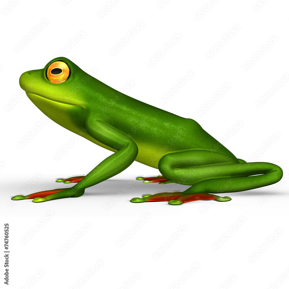 Fototapeta premium Frog